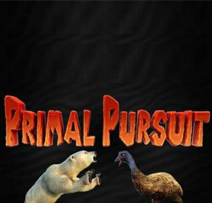 Primal Pursuit