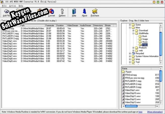 Registration key for the program 101 AVI MPEG WMV Converter