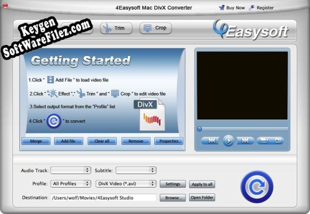 Registration key for the program 4Easysoft Mac DivX Converter