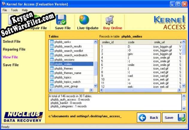 Access Repair Tool serial number generator