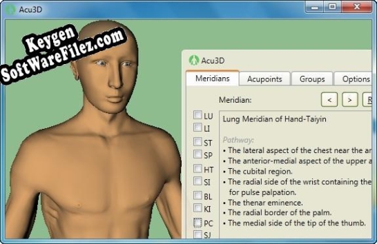 Free key for Acupuncture3D