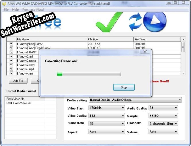 Afree AVI WMV DVD MPEG to FLV Converter activation key