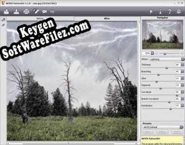 AKVIS NatureArt Key generator