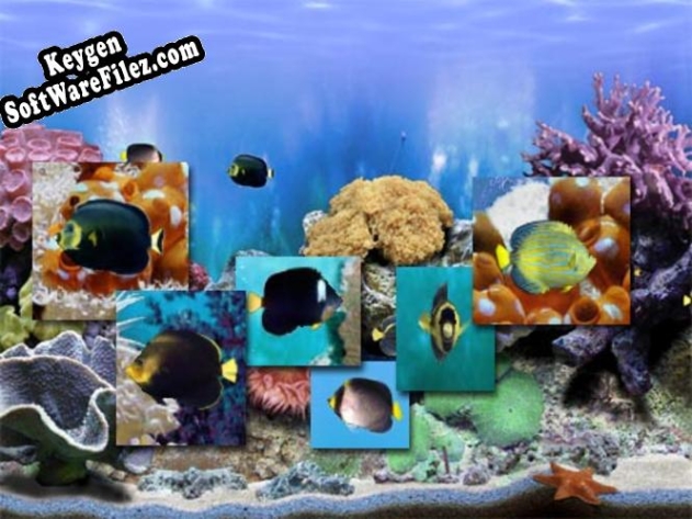 Amazing 3D Aquarium Genicanthus Fish Pack - 4 serial number generator
