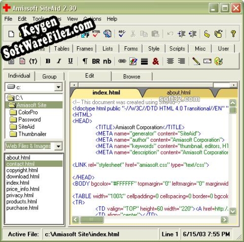 Activation key for Amiasoft SiteAid