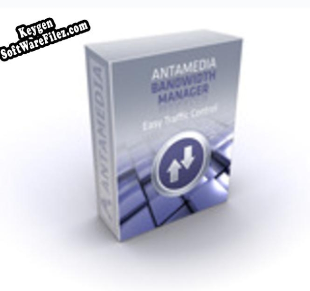 Antamedia Bandwidth Manager Standard (20 Connections) activation key