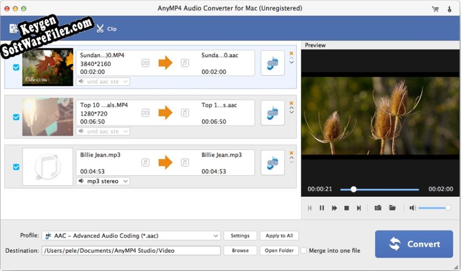 AnyMP4 Audio Converter for Mac Key generator