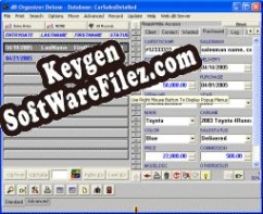 Car Sales Organizer Deluxe serial number generator