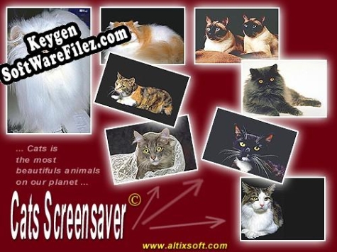 Cats Screensaver activation key