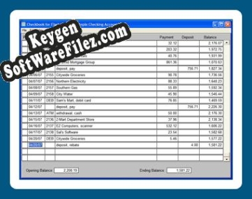 Key for Checkbook for Flash Drives