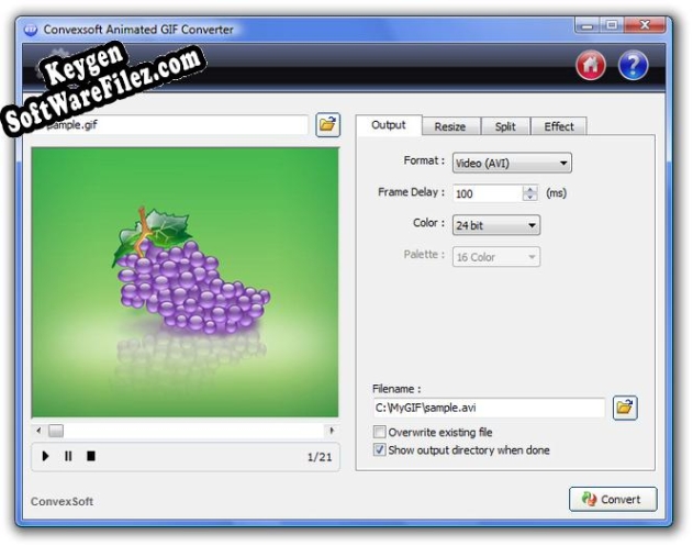 ConvexSoft Animated GIF Converter Key generator