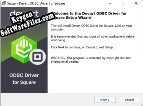 Key for Devart ODBC Driver for Square