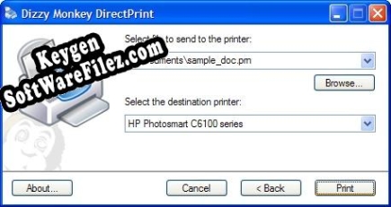 Key generator (keygen) Dizzy Monkey DirectPrint 1.3