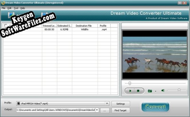 Dream MP3 Convert activation key