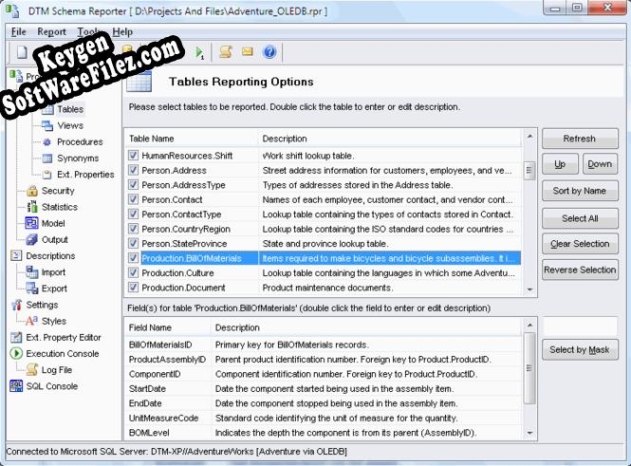 DTM Schema Reporter key free