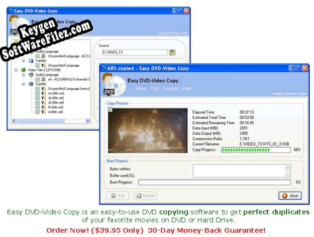 Easy DVD-Video Copy key free