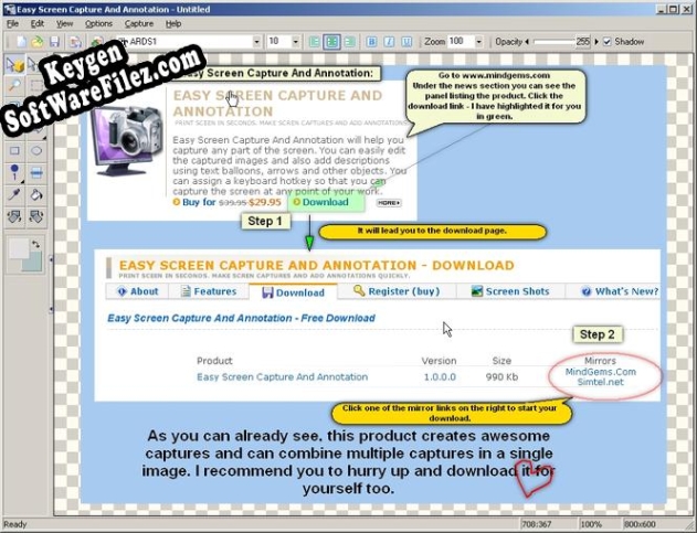 Easy Screen Capture And Annotation activation key