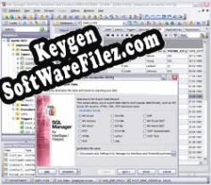 Activation key for EMS SQL Manager for InterBase/Firebird