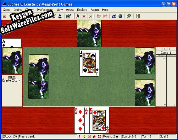 Euchre and Ecarte by MeggieSoft Games serial number generator