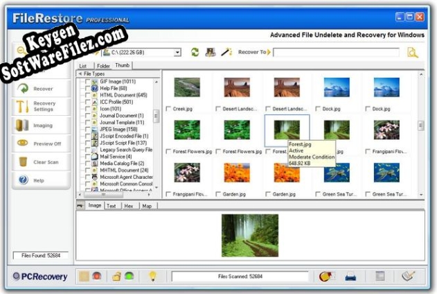 File Restore Professional key generator