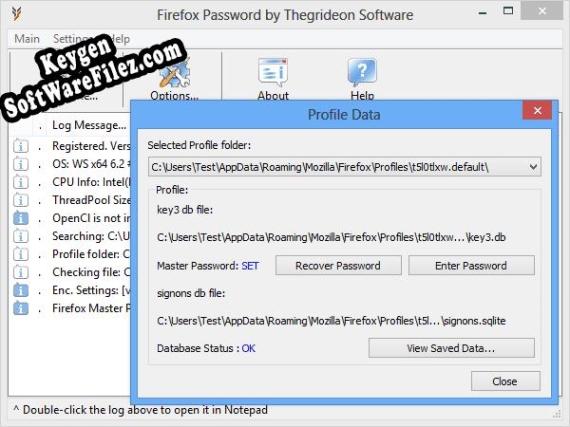 Registration key for the program Firefox Password by Thegrideon Software