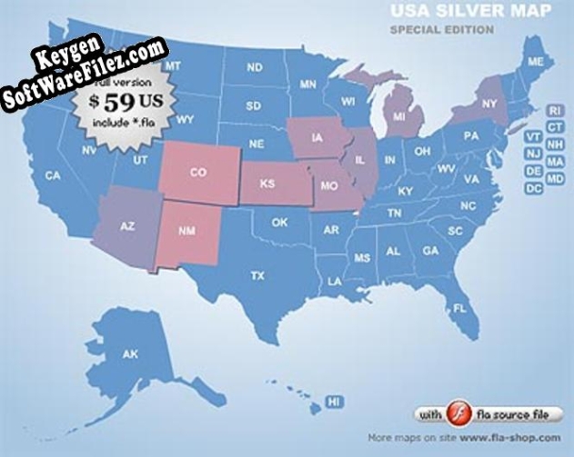 Flash Map USA Silver Special Edition (include FLA) activation key