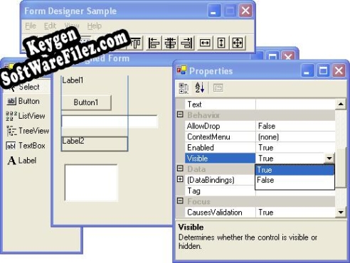 Form Designer .NET Key generator