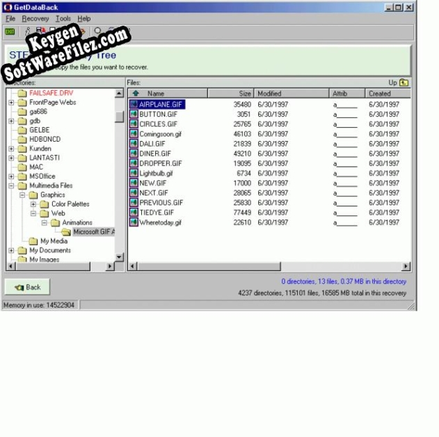 Key generator (keygen) GetDataBack Data Recovery for FAT