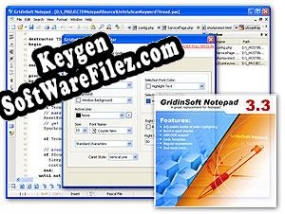 GridinSoft Notepad key free