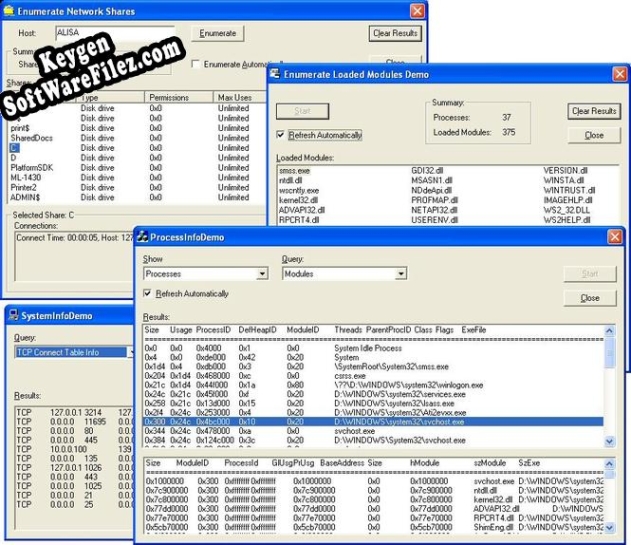 Free key for Magneto Software System Info Controls Pack