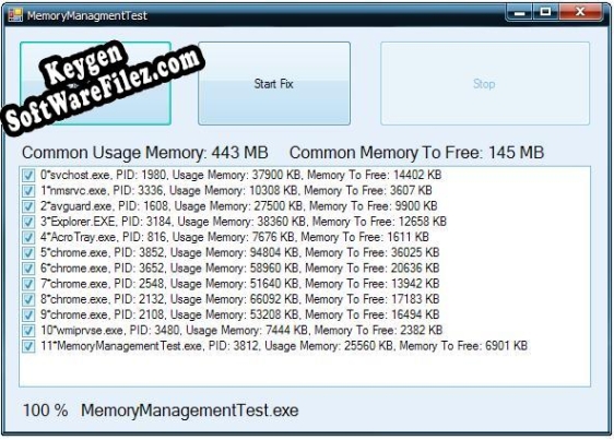 Memory Management ActiveX key generator