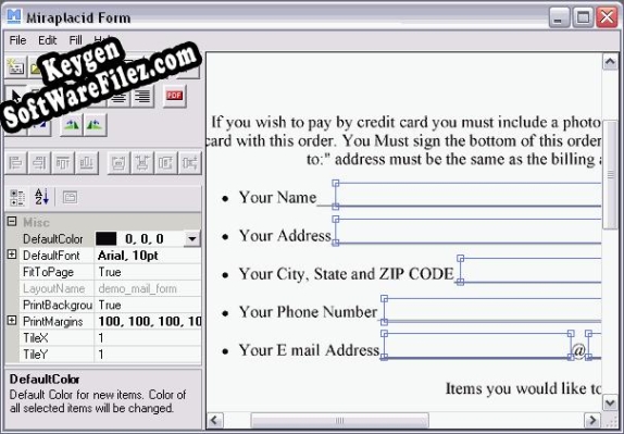Registration key for the program Miraplacid Form Professional