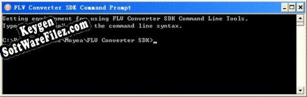 Moyea FLV Converter SDK serial number generator