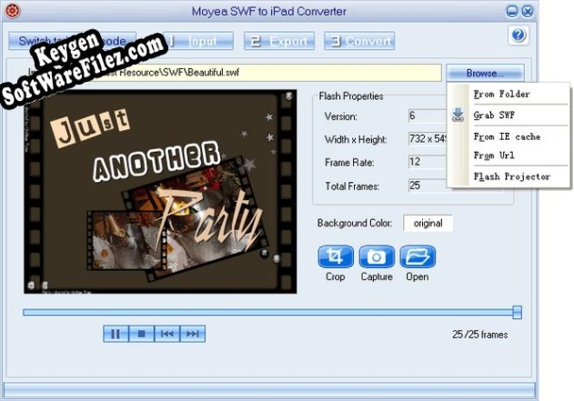 Moyea SWF to iPad Converter key generator