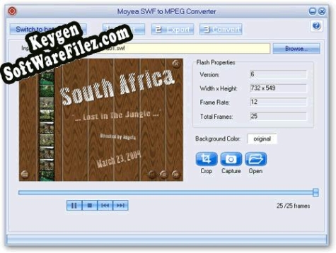 Key for Moyea SWF to MPEG Converter