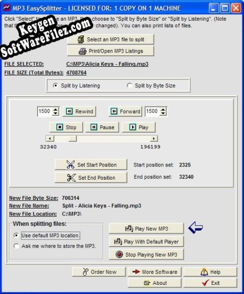 Free key for MP3 EasySplitter