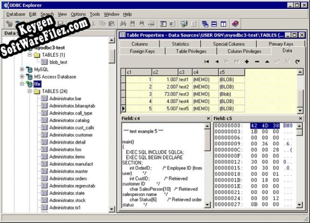 ODBC Explorer activation key