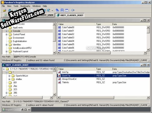 Registration key for the program Parabens Registry Analyzer