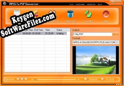 Registration key for the program Pop MPEG To PSP Converter