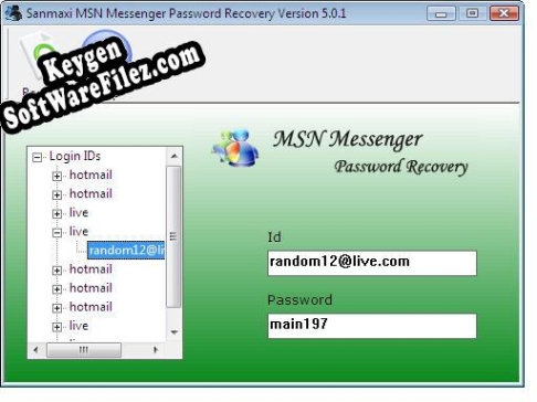 Recover MSN Messenger Password Tool key free