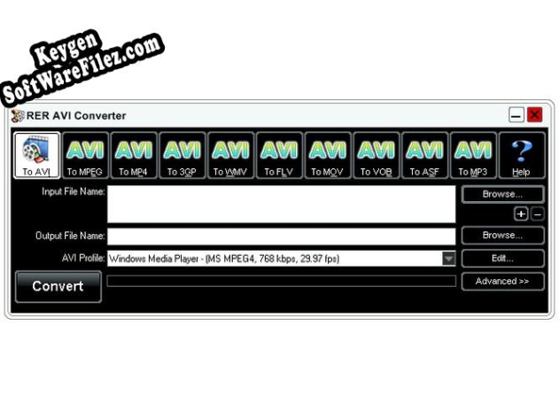 Registration key for the program RER AVI Converter