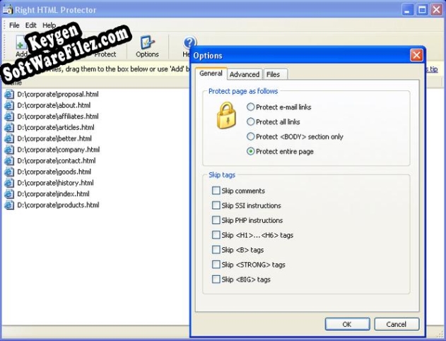 Right HTML Protector key free