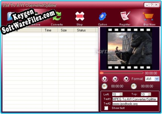 RM To AVI Converter Splitter key free