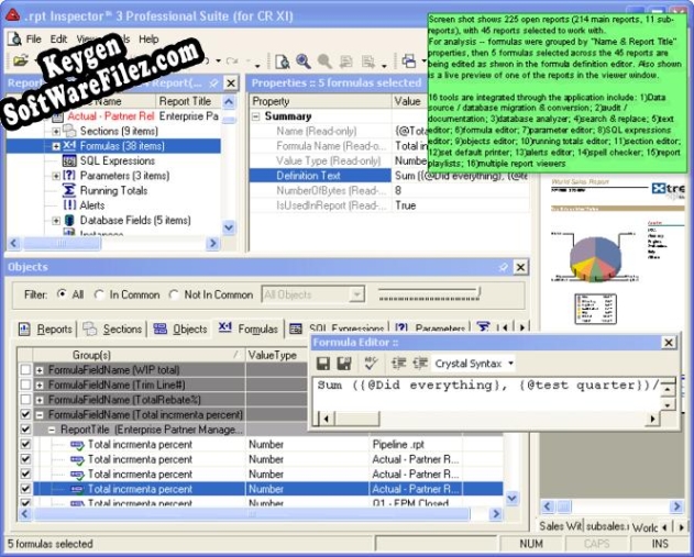 .rpt Inspector Professional Suite for Crystal Reports 9 activation key