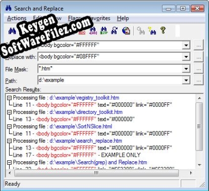 Search and Replace activation key