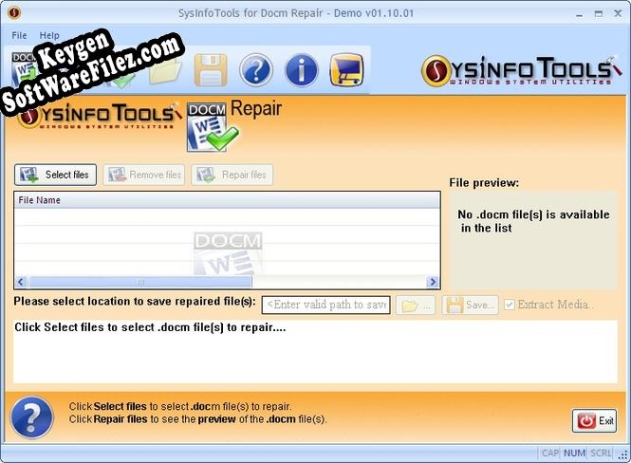 Free key for SysInfoTools Docm Repair