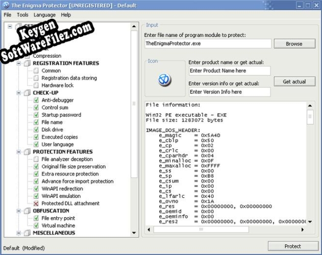 Key generator for The Enigma Protector x64