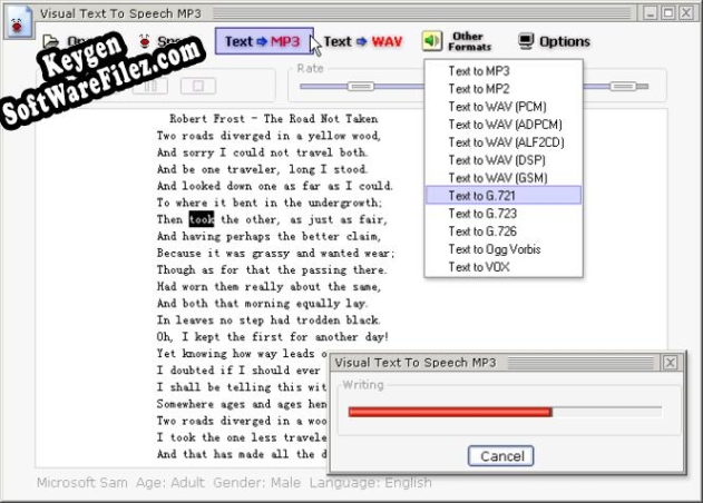 Key generator for Visual Text To Speech MP3