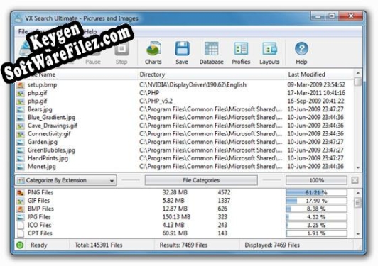 VX Search Pro Key generator