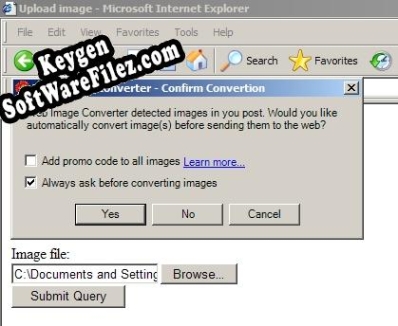 Web Image Converter key generator